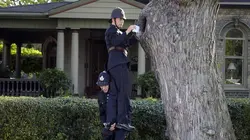 Les enquêtes de Murdoch  S06E12 Crime rationnel