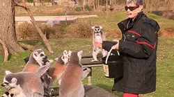 Les enquêtes de TPMP