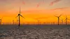 2024 • Les éoliennes en mer, quelle cohabitation avec la nature ?