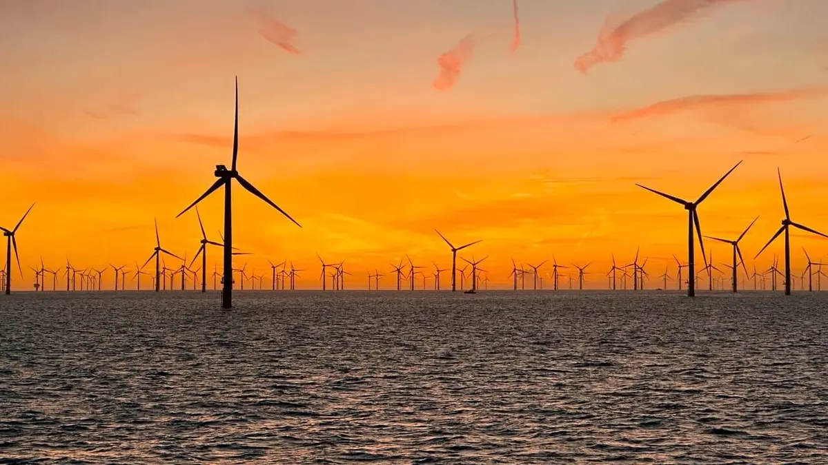 Les éoliennes en mer, quelle cohabitation avec la nature ?