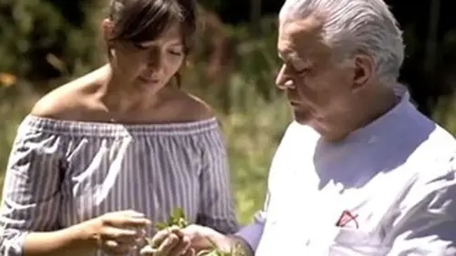 Les escapades de Petitrenaud Château-Arnoux