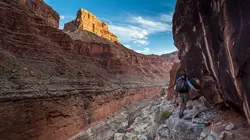 Visuel de Les espaces sauvages d'Amérique