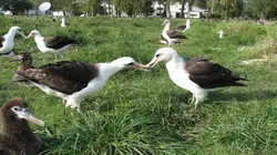 Visuel de Les espaces sauvages d'Amérique