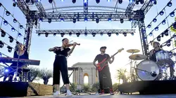 Les estivales de Culturebox Cats on Trees