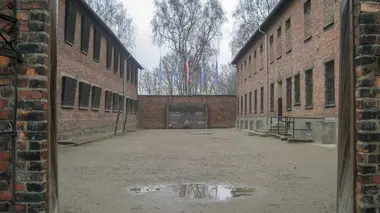 Les expérimentations médicales à Auschwitz : Clauberg et les femmes du bloc 10