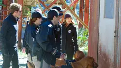 Les experts S11E17 Mon mari, mes amants en streaming