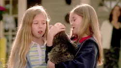 Les experts S02E20 De si jolis chatons en streaming