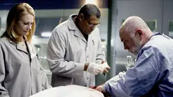 Les experts S09E13 Affaire de dégoût en streaming