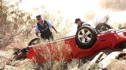 Les experts S08E10 Un mal de chien en streaming