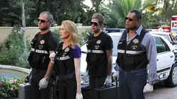 Visuel de Les experts