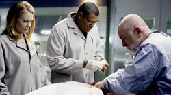 Les experts S09E13 Affaire de dégoût