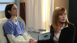 Les experts S12E06 Bêtes de scène