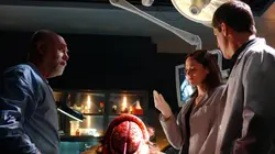 Les experts S06E09 Chienne de vie