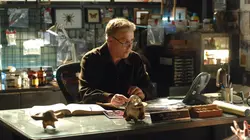 Les experts S07E18 Showgirls