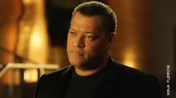 Les experts S11E02 Un monde de requins