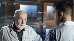 Les experts S15E12 Les bois éternels en streaming