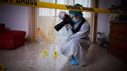 Les experts, le crime à la loupe