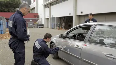 Les experts, le crime à la loupe