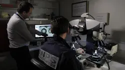 Les experts, le crime à la loupe