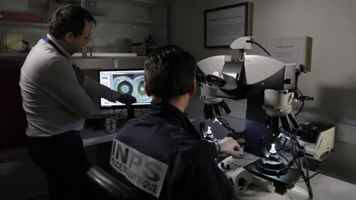 Les experts, le crime à la loupe