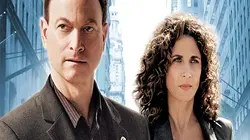 Les experts : Manhattan S06E10 Défense d'entrer... et de sortir