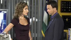 Les experts : Manhattan S05E06 La règle de trois