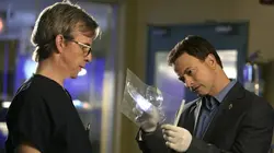 Les experts : Manhattan S03E21 Passé imparfait