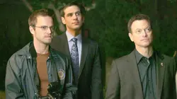 Les experts : Manhattan S03E17 L'arche de Noé