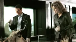 Les experts : Manhattan S02E17 Le silence du témoin