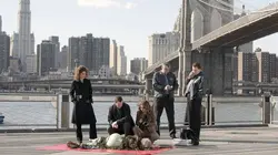 Les experts : Manhattan S02E22 La preuve par trois