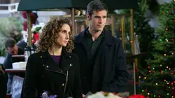 Les experts : Manhattan S06E11 Sans famille