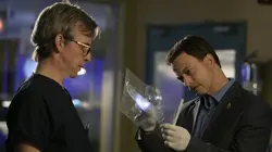 Les experts : Manhattan S03E21 Passé imparfait