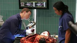 Les experts : Manhattan S02E03 Le repas des fauves