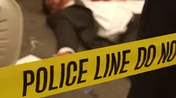 Les experts : Manhattan  S02E04 Le samourai des affaires