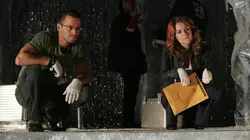 Les experts : Manhattan S03E03 Froide vengeance