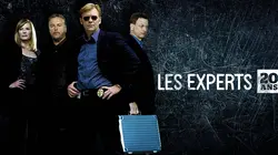 Les experts : Manhattan S03E03 Froide vengeance