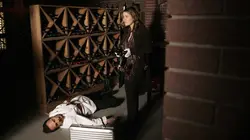 Les experts : Manhattan S03E19 Meurtre à la française