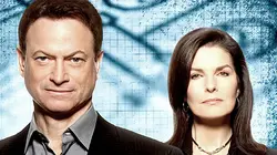 Les experts : Manhattan S08E15 Derrière l'écran