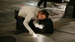 Les experts : Manhattan S04E20 Double emploi