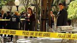 Les experts : Manhattan S04E07 Prédatrices