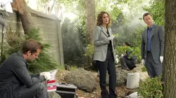 Les experts : Manhattan S05E05 Sa dernière croisade