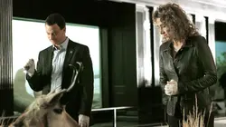 Les experts : Manhattan S02E17 Le silence du témoin