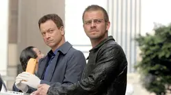 Les experts : Manhattan S03E10 Tombés du ciel