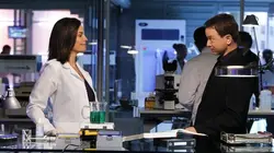 Les experts : Manhattan S07E15 Vigilante