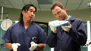 Les experts : Manhattan S02E03 Le repas des fauves