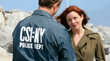 Les experts : Manhattan S03E23 Double jeu