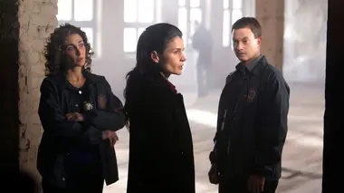 Les experts : Manhattan S05E15 La grippe bleue