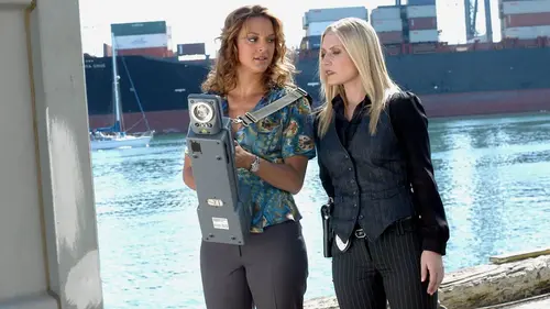 Les experts : Miami S05E09 Mort aux enchères