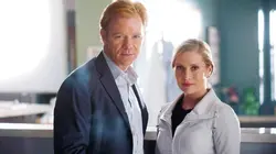 Les experts : Miami S03E12 La guerre des gangs