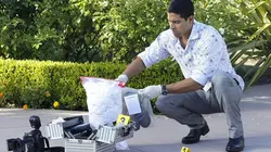 Les experts : Miami S09E10 La partenaire idéale